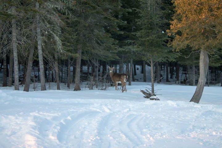 Auberge Sur Le Lac Temiscouata Temiscouata Sur Le Lac Exterior foto